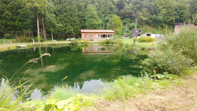 合子沢養魚場ルアー池